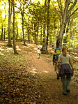 tavaszillat