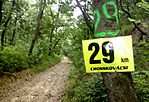 cross verseny volt a sárga csíkon