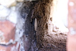 microcache