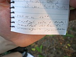 Log