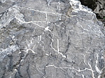 kőerek