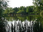A híd