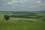 Panoráma