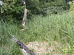 a láp