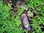 08.03.03 Sikertelen