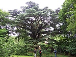 célpont