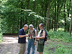 Csokasz, Soko, Sanyiapo