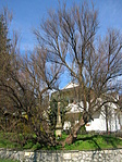 Rejtekhely