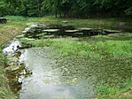 Békanyálas
