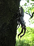 Harcossal is találkoztunk