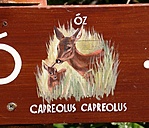 Pele Apó ösvénye II.