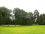 a park