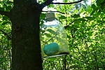 helyes kis cache