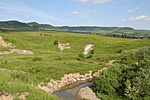 Sókiválások