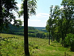 Irtvány a vadászoknak