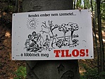 Útmenti tábla