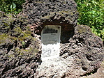 salak alak
