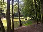Kiindulópont