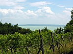kilátás a Balatonra