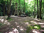 a "szigeten"