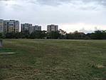 nagy park focipályákkal