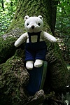 a láda