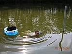 beutazás