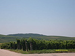 Határ
