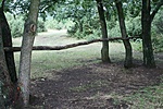 LÓparkoLÓ