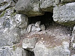 a rejtek