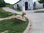 Őr 1.