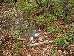 láda