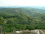 a tanösvény