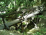 1. kép