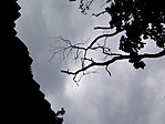 Tunyitól