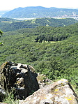 Kilátó