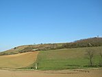 Panoráma