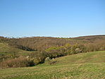 Panoráma