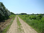 3.pont felé