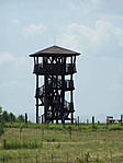 Kilátó