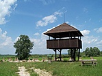 Madárvárta a berekben