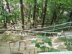 Korláterdő