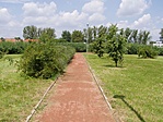 A bokorsor
