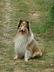 Vándor