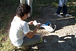 Logolás