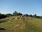 hungarian sztónhendzs