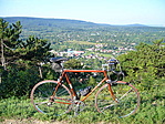 Bicó a hegyen
