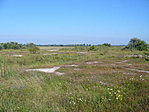 Szikfoltok