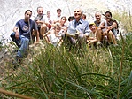 a csapat