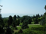 Panoráma